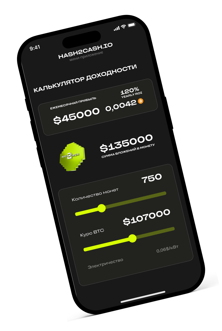 Скриншот экрана калькулятора расчёта монет Hash2Cash